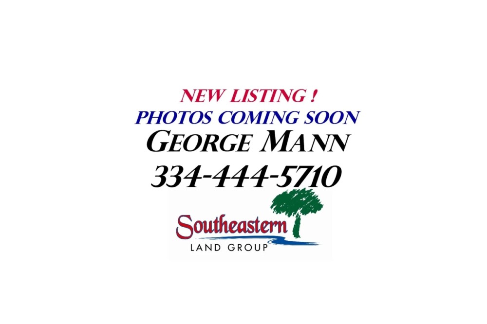 78 ac on Callaway Creek - Elmore featured image