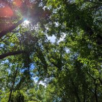 78 ac on Callaway Creek - Elmore images 2