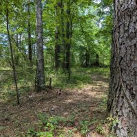 78 ac on Callaway Creek - Elmore images 3