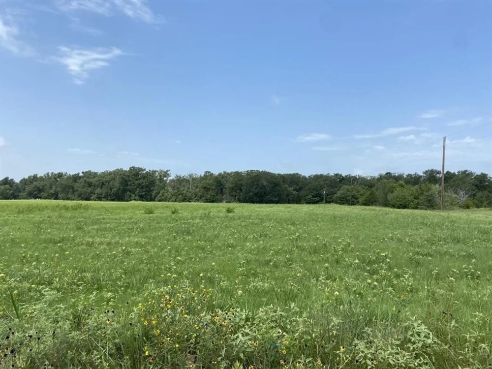 613 County Road 3631 Dike TX 75437 featured image