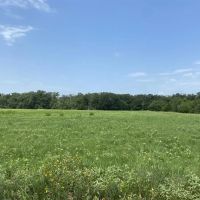 613 County Road 3631 Dike TX 75437