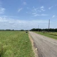 613 County Road 3631 Dike TX 75437 images 4