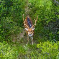 Brady Creek Ranch images 5