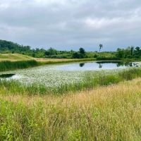 Lutheran Church Rd. Fayette County - 165 acres