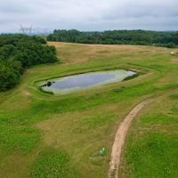 Lutheran Church Rd. Fayette County - 165 acres images 3