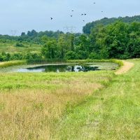 Lutheran Church Rd. Fayette County - 165 acres images 4