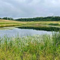 Lutheran Church Rd. Fayette County - 165 acres images 5