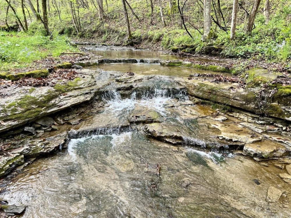 Narrows Rd Fayette County - 244 acres featured image
