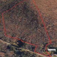 24 acres Hunting Land and Recreational Land with Building Lot in Clarksville NY Wolf Creek Rd images 3
