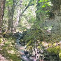 Little Butte Creek Hideaway images 2