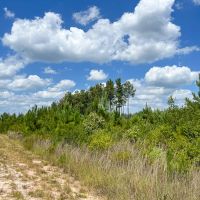 116 Acres FM 943 images 3
