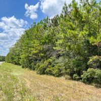116 Acres FM 943 images 4