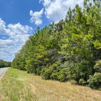 116 Acres FM 943 images 5