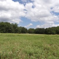 RECREATION RANCH ACREAGE IN ATOKA CO. OK. images 4