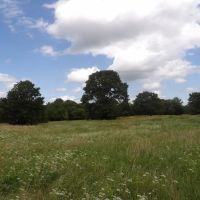 RECREATION RANCH ACREAGE IN ATOKA CO. OK. images 5