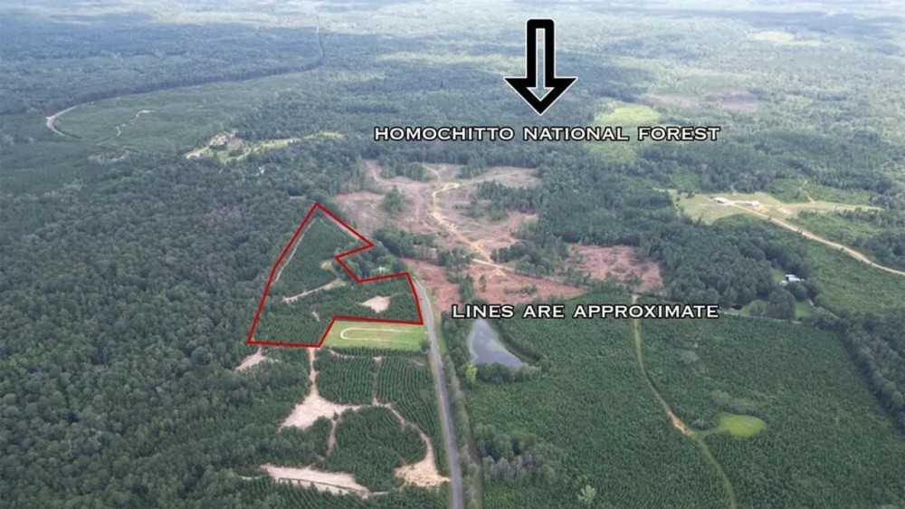 Small Hunting Property Near Homochitto National Forest featured image
