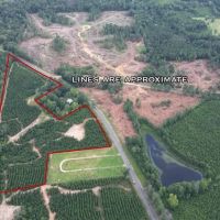 Small Hunting Property Near Homochitto National Forest images 2