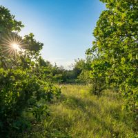 5354 SE 3846 Road Stuart OK 74570 images 3