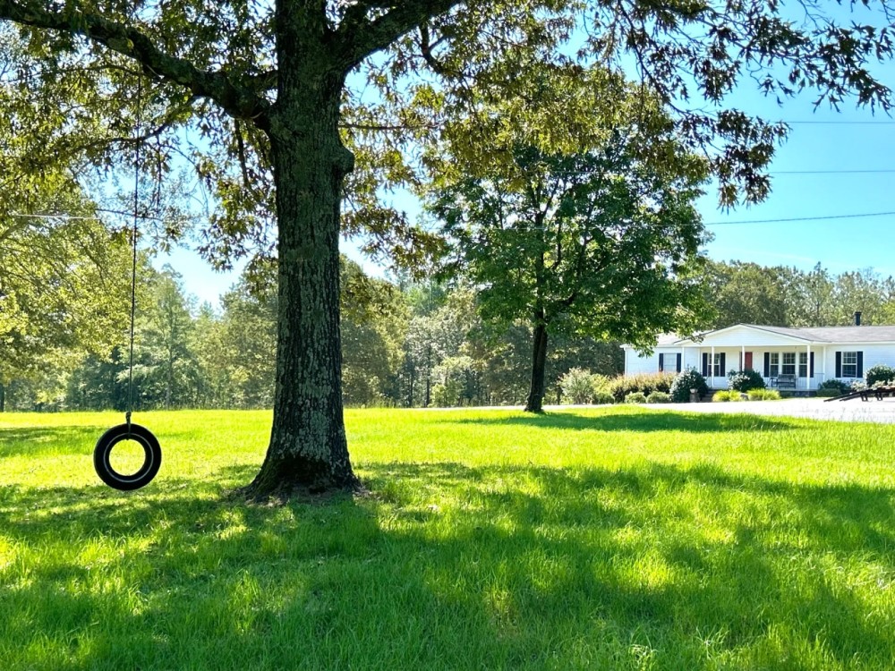 77 Acre Farm in Bleckley County GA featured image