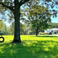 77 Acre Farm in Bleckley County GA images 1