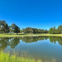 77 Acre Farm in Bleckley County GA images 4