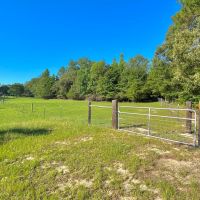 77 Acre Farm in Bleckley County GA images 5