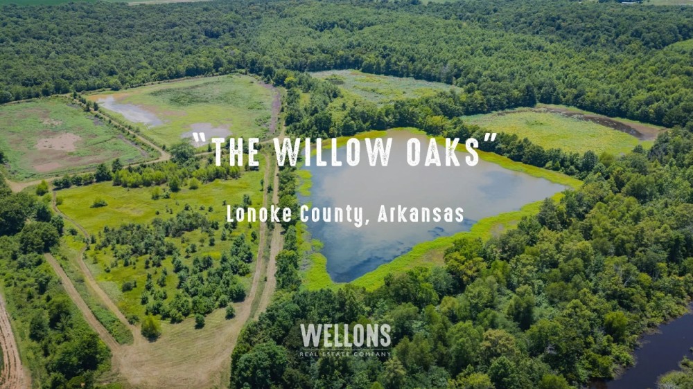 The Willow Oaks featured image