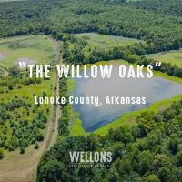The Willow Oaks