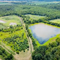 The Willow Oaks images 2