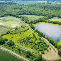 The Willow Oaks images 3