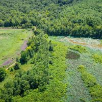 The Willow Oaks images 5
