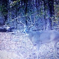 107 Acres with Farm Home Large Barn with Bonus Bedroom Living Room Workshop and Man Cave.
