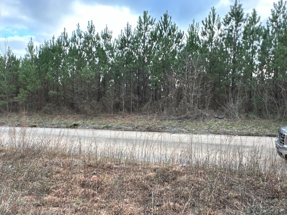 80 AC Treat Mountain Road featured image
