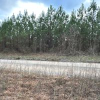 80 AC Treat Mountain Road