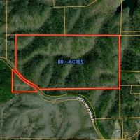 80 AC Treat Mountain Road images 2