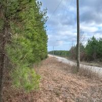 80 AC Treat Mountain Road images 3