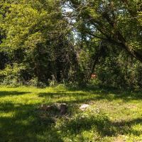Belle s Mini Homestead on 10 images 5