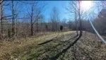40 Acres in Catahoula Parish in Clayton LA images 3