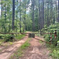 9 Acres with a Cabin in Jasper County MS