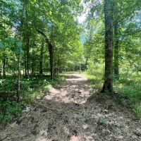 9 Acres with a Cabin in Jasper County MS images 3