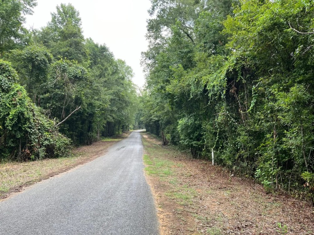 Styles Ranch Rd Jackson Parish 33 Acres - featured image