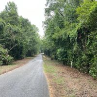 Styles Ranch Rd Jackson Parish 33 Acres -