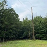 Styles Ranch Rd Jackson Parish 33 Acres - images 4