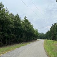 Styles Ranch Rd Jackson Parish 33 Acres - images 5