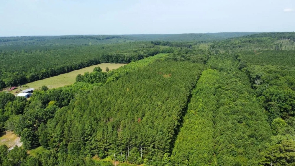 White Oak Property featured image