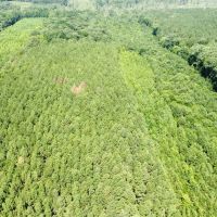 White Oak Property images 2