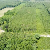 White Oak Property images 3