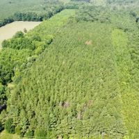 White Oak Property images 5
