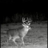 165 Acres in Attala County in Goodman MS images 2