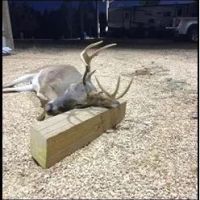 165 Acres in Attala County in Goodman MS images 4